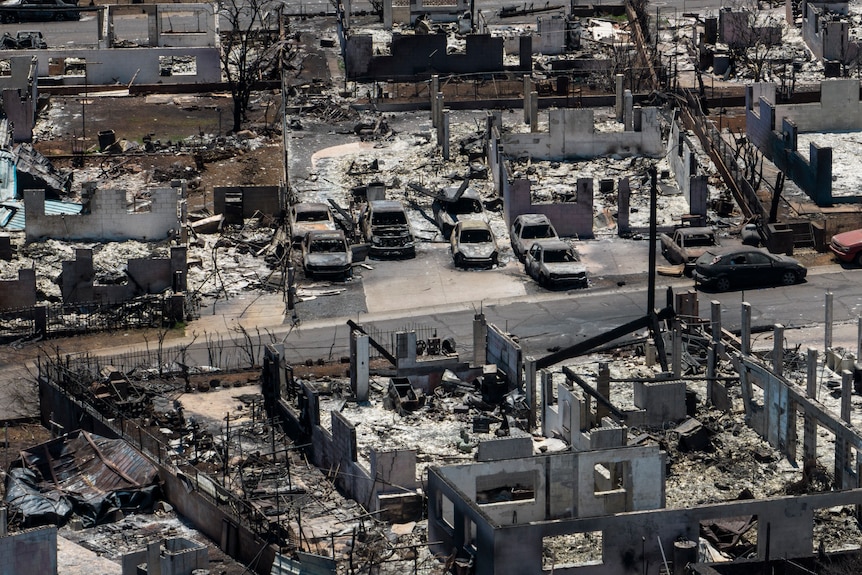 several burnt cars lined up in a row covered in ashes.