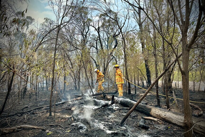 A scorched landscape with firies working.