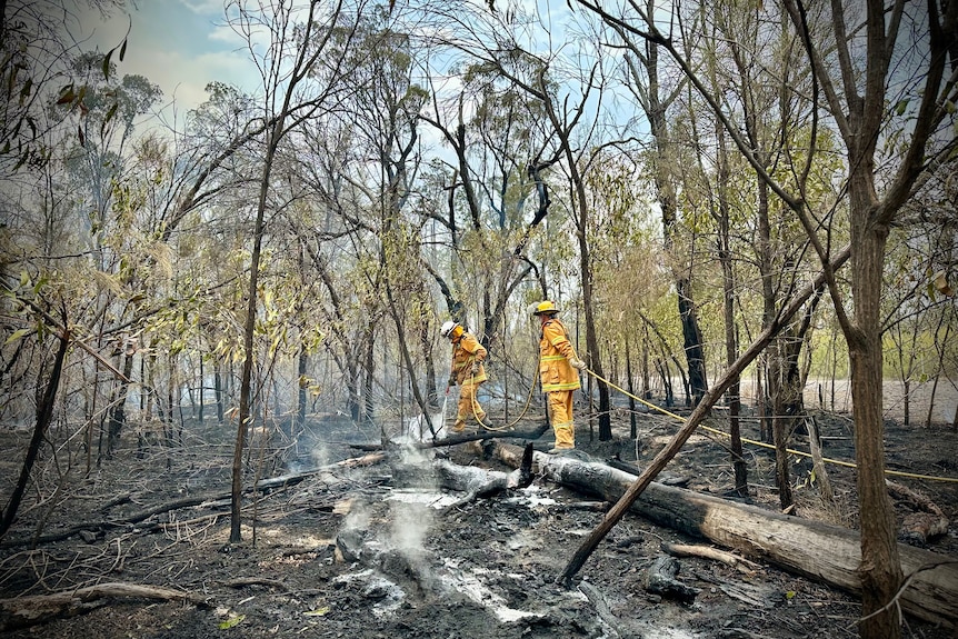 A scorched landscape with firies working.
