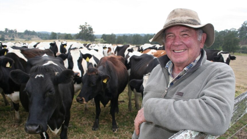 Dairy farmer Howard Lee starts in front of his herd of dairy cows.