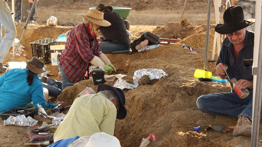 people sitting on the ground, digging for bones