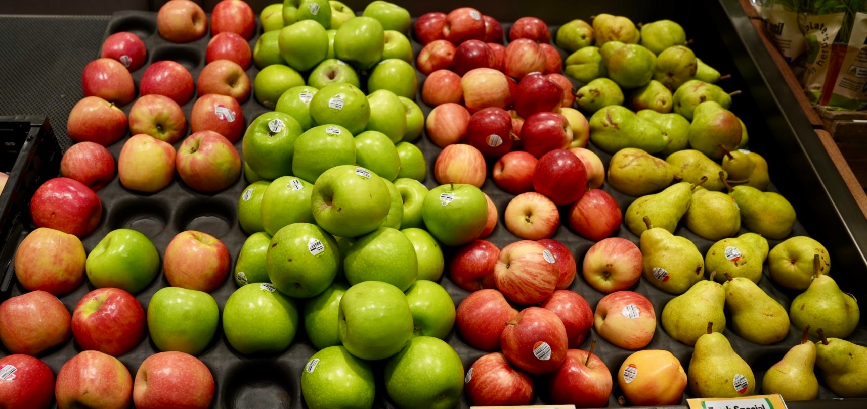 Apple growers fear economic and biosecurity wipeout as US eyes market