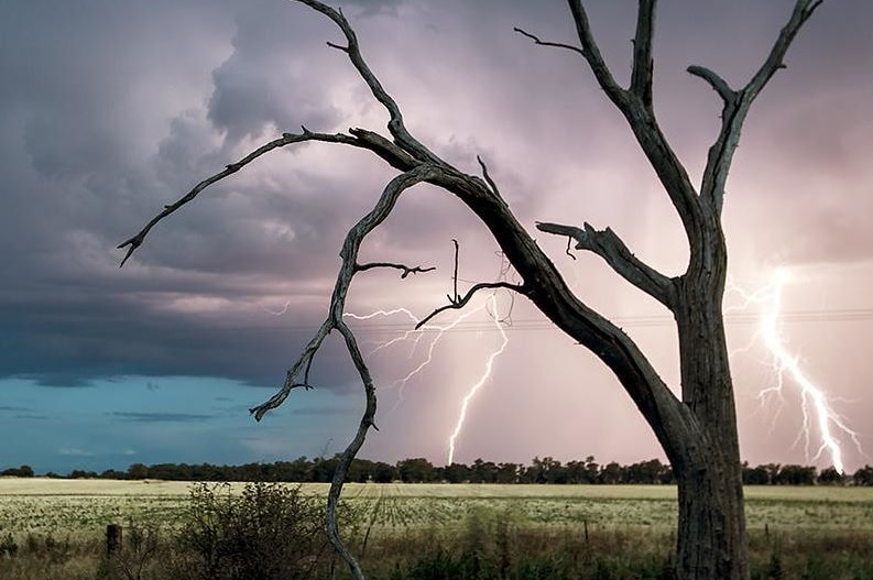 Lighting and dead tree over a paddock