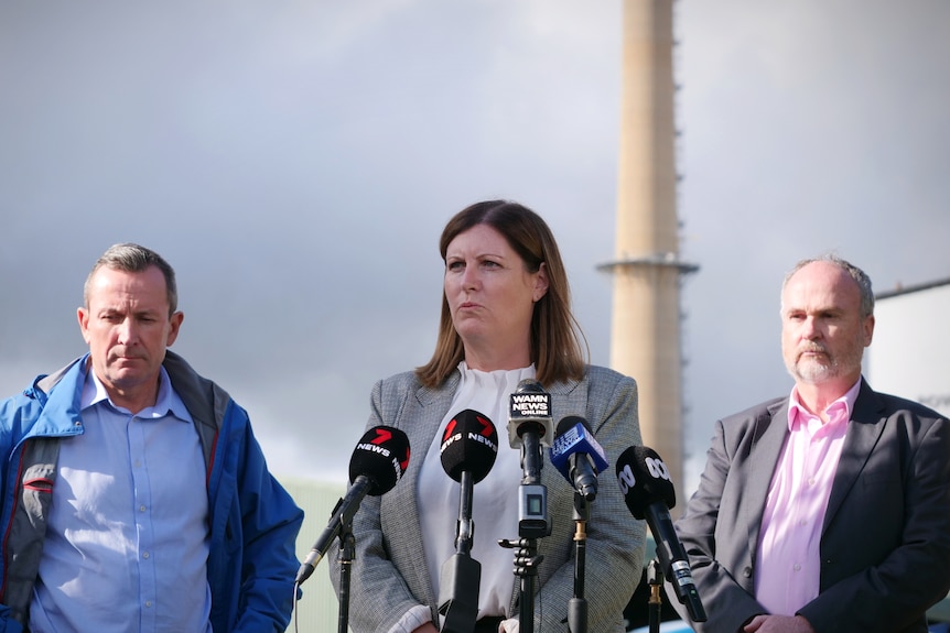 Three politicians stand behind a mic with grey clouds in the backdrop
