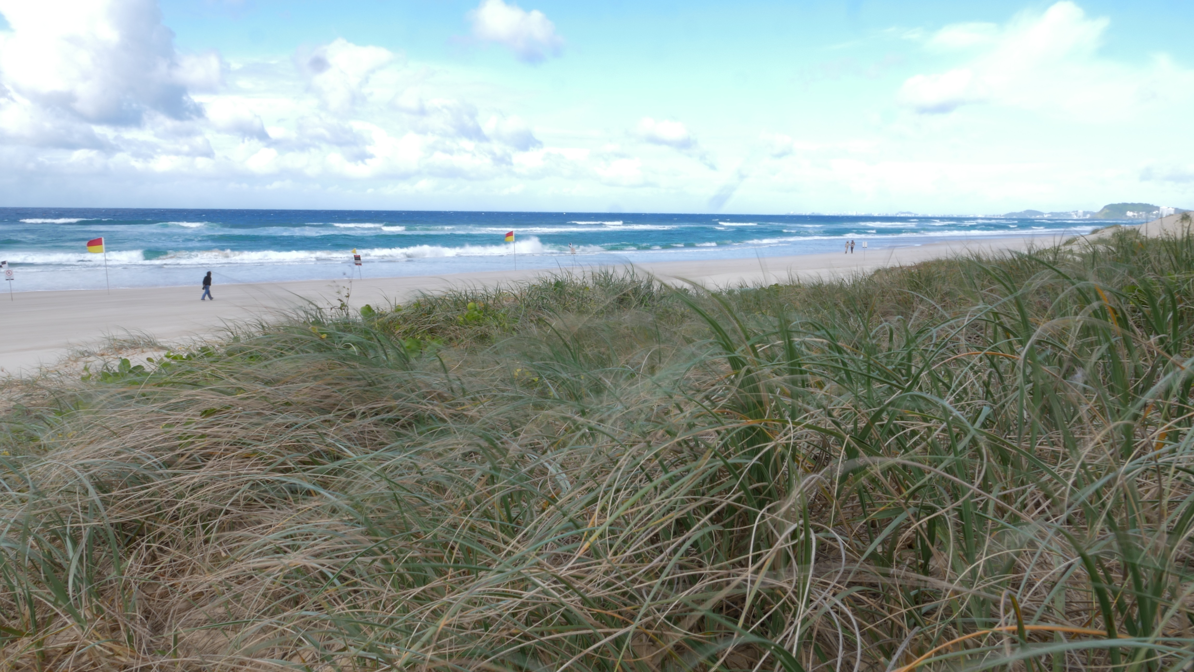 Windy dunes with surf behind