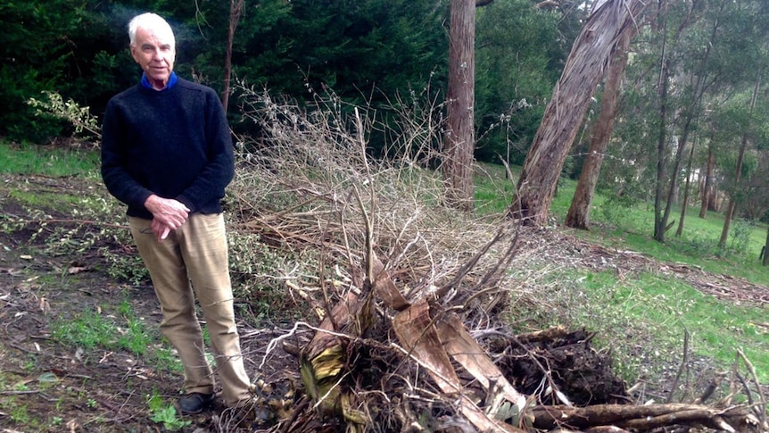 Stirling resident Rob Gilbert near a pile of wood