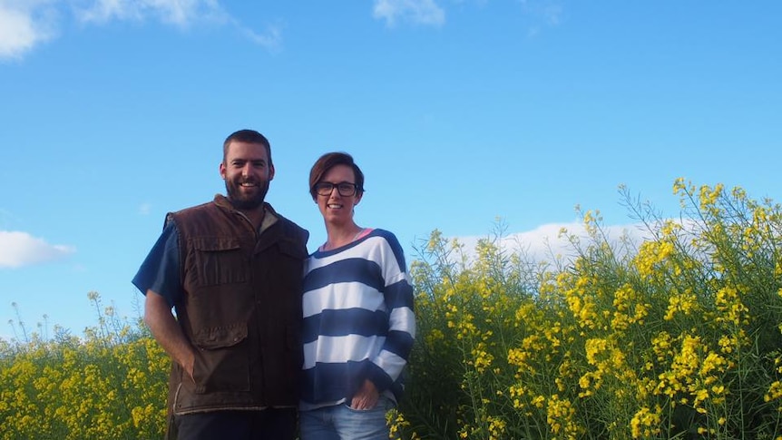 Canola growers call for Genetic Modification choice.