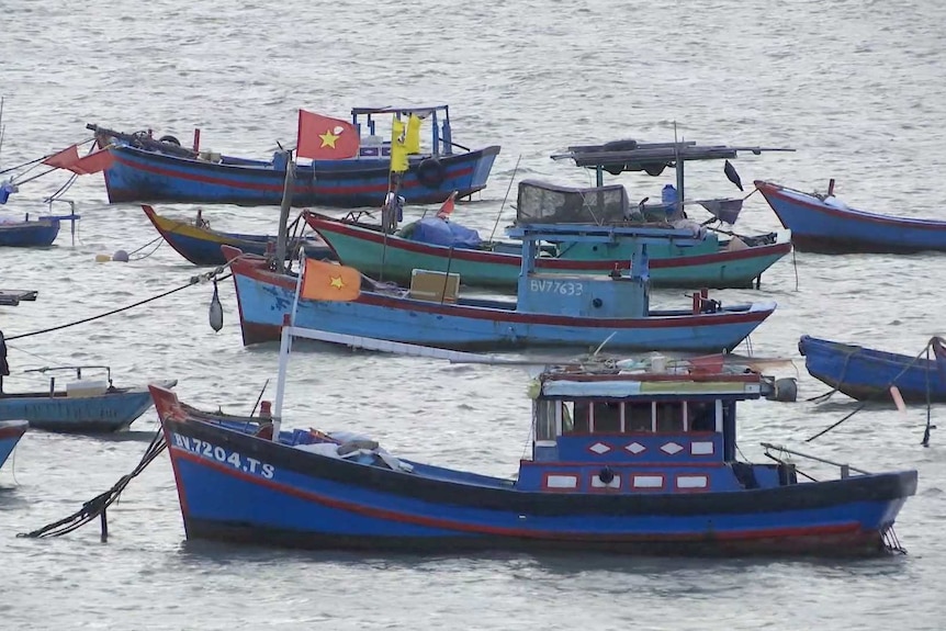 Boats in Vung Tau, Vietnam