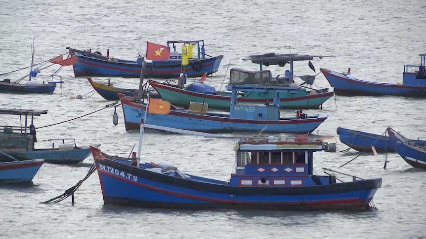 Boats in Vung Tau, Vietnam