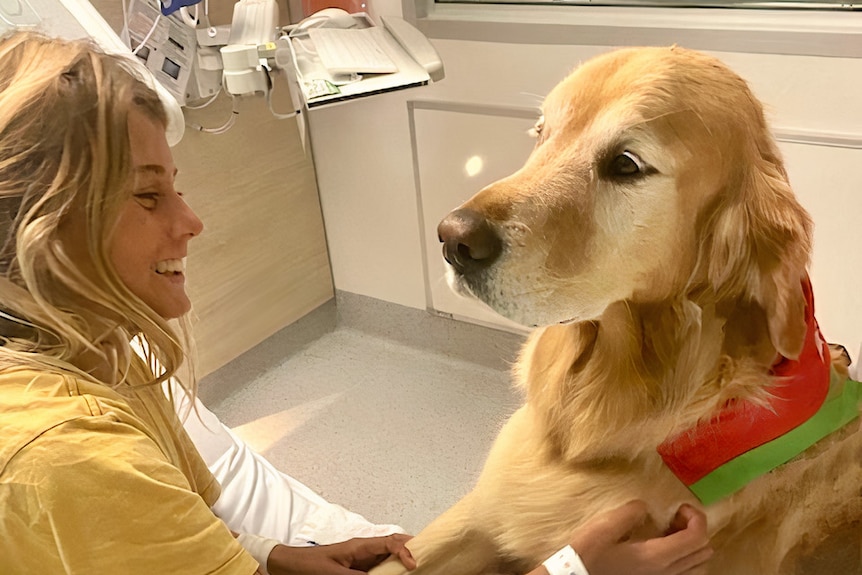 A girl with blonde hair in a hospital bed 