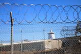 Barb wire fences stretch along the length of the Don Dale youth detention centre.