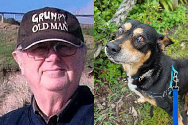 A composite image of a man on a beach and a Kelpie dog