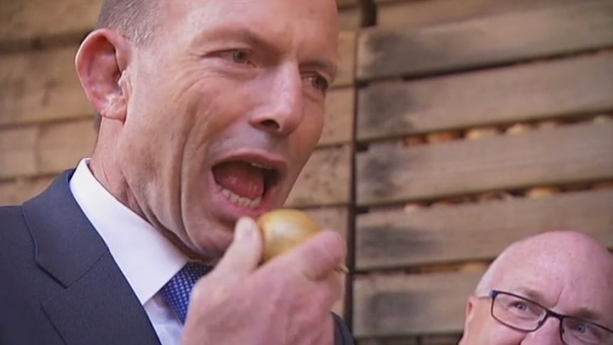 Tony Abbott eats a raw onion, Onions Australia celebrate