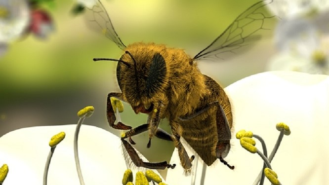 Computer image of bee