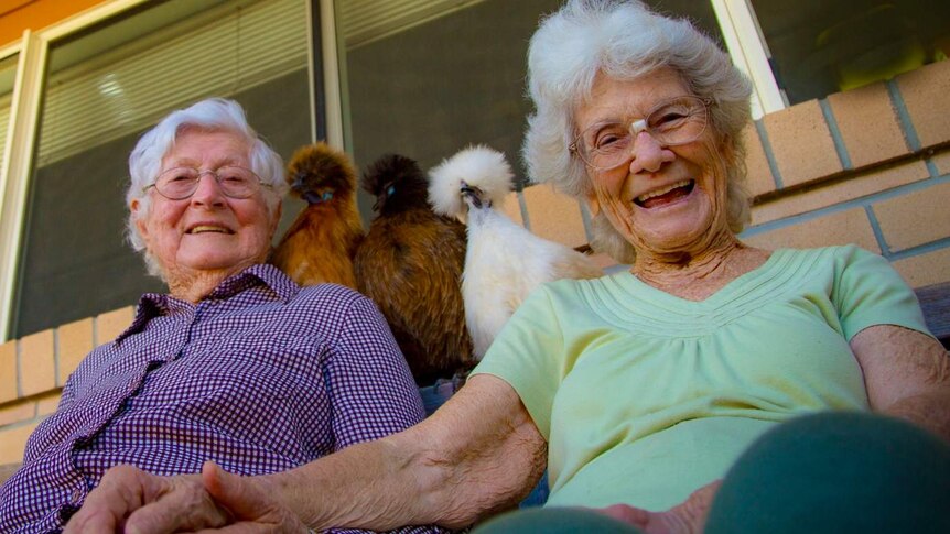 Aged care residents at Gunther Village in Gayndah, Qld with chickens.