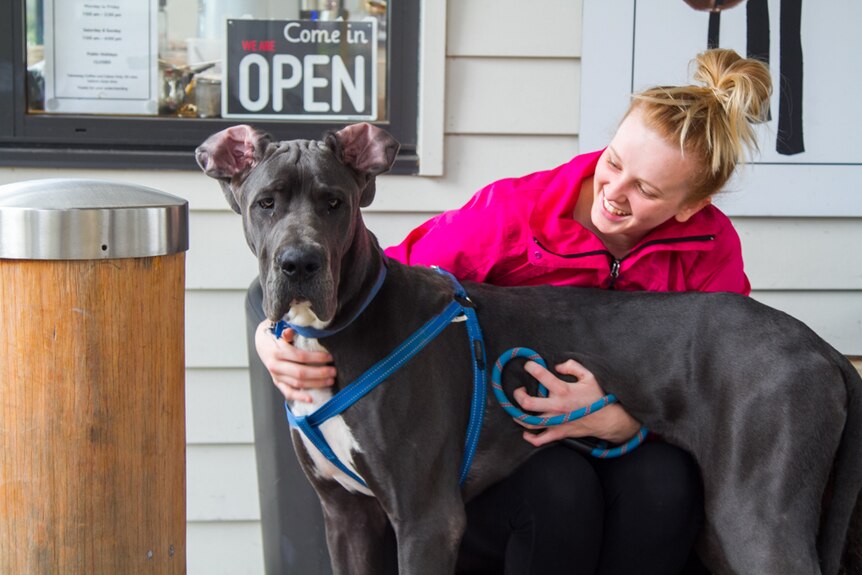 Nursing student Amber Jones and her dog Hugo have not seen many candidates campaigning around Brisbane.