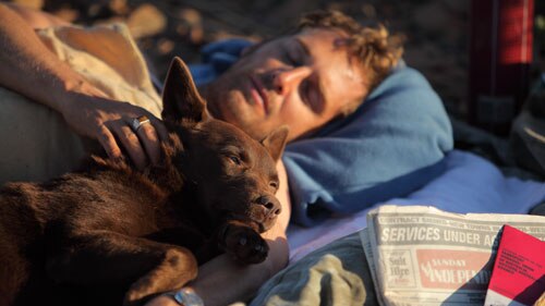 A still from the Australian movie Red Dog, showing actor Josh Lucas and the dog Koko who played the title role.