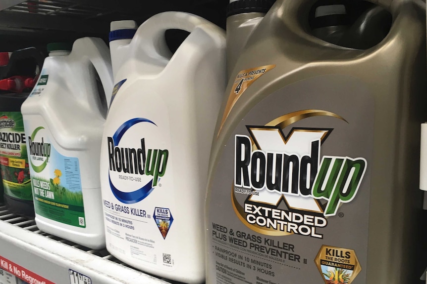 Containers of Roundup on a shelf