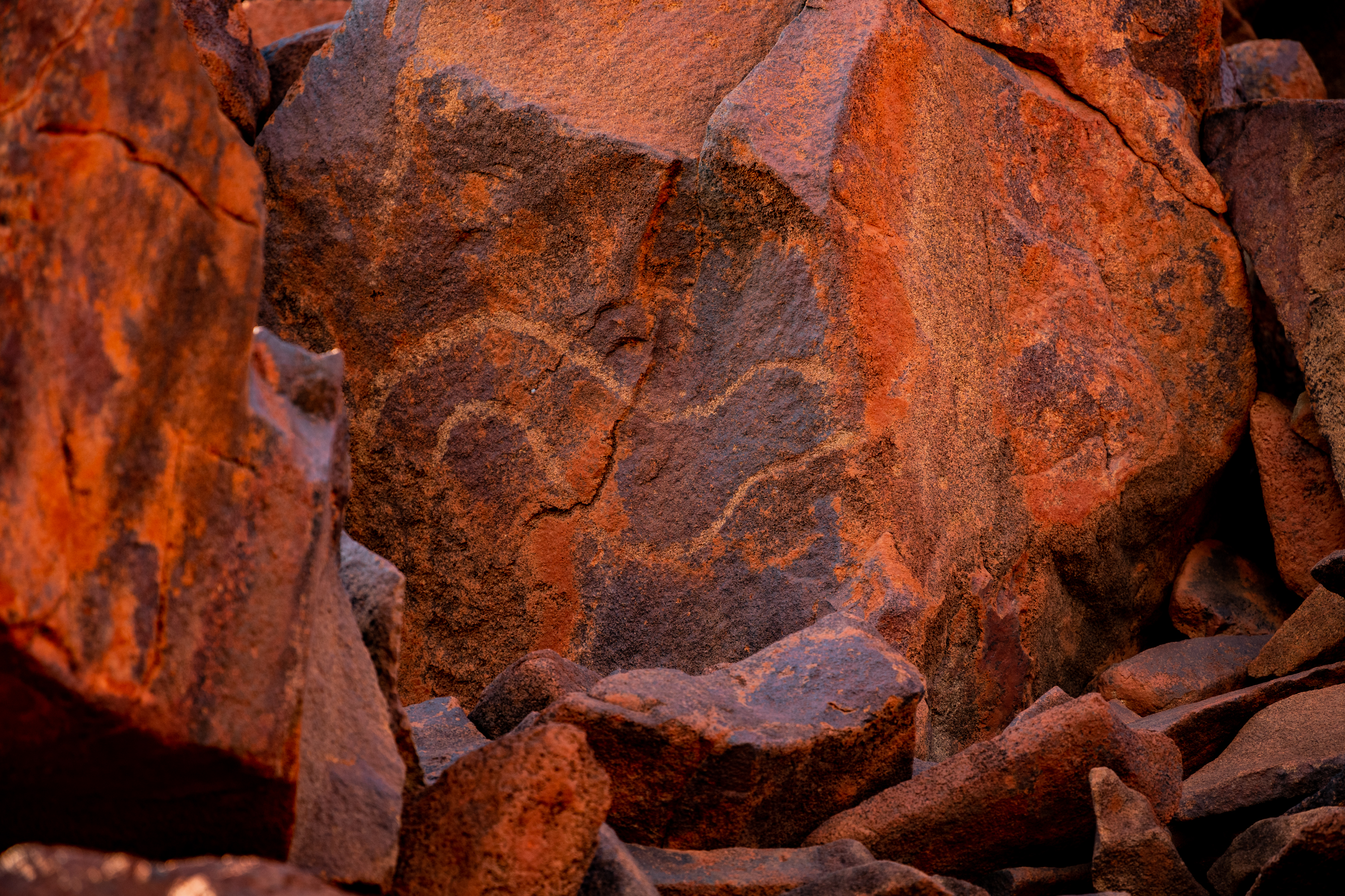 Burrup 半岛上的岩石艺术，描绘了一条蛇。