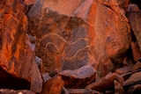 Rock art on the Burrup Peninsula, depicting a snake.