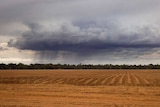 A rain cloud above a freshly ploughed paddock