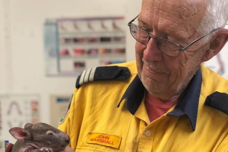 A older man in a firefighter's uniform holds a wombat.