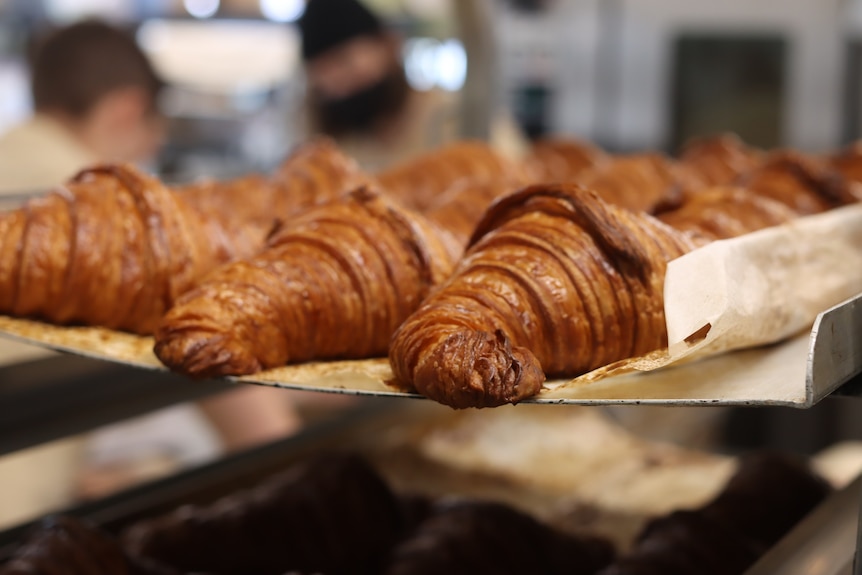 Rows of croissants on a baking tray.