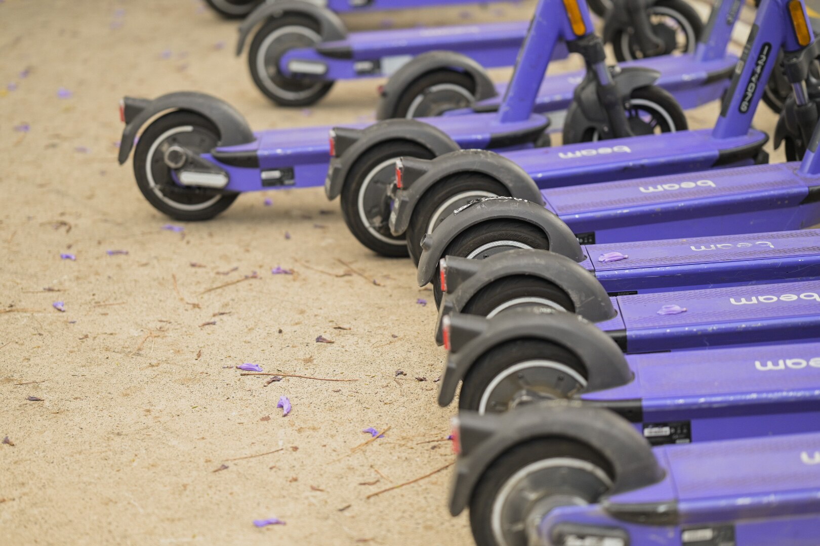 Cairns Regional Council in spotlight over ban of shared escooters on