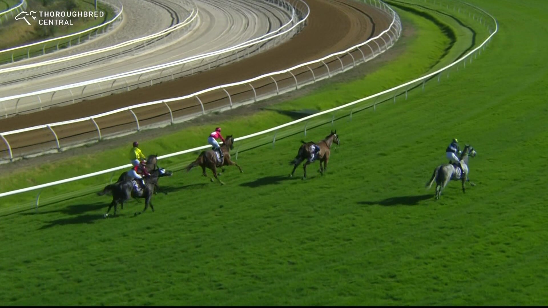 Perth Cup race abandoned after horror fall leads to death of horse