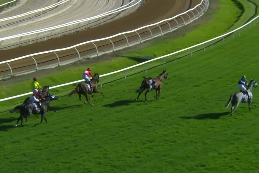 Perth Cup race abandoned after horror fall leads to death of horse ...