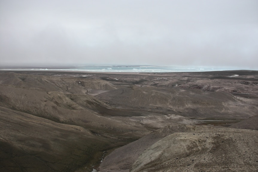 Aerial view of grey polar desert in Greenland