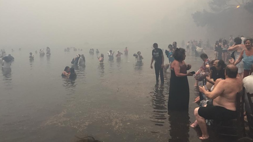 People stand in the water and on the edge of the beach as smoke fills the air.