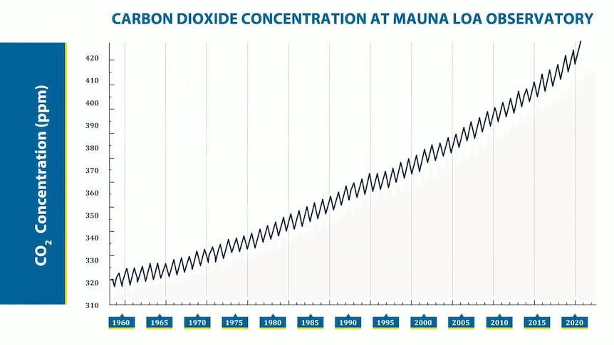 Graph showing carbon dioxide concentration against time.