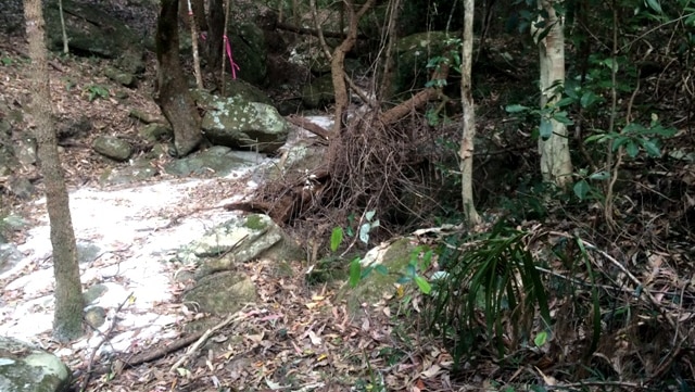 The cement grouting that snakes through the Sugarloaf State Conservation Area.