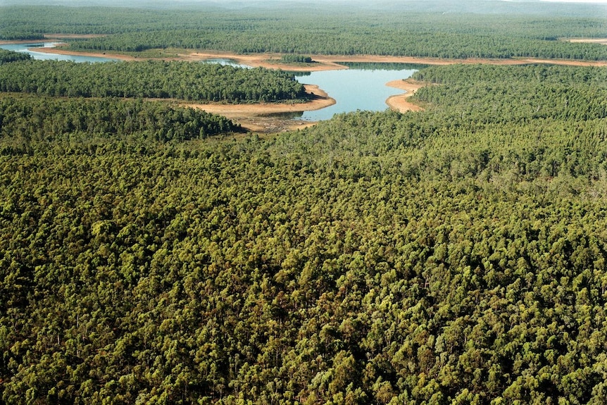 An aerial shot of an old mining site filled with jarrah trees