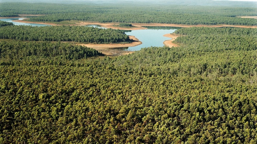 Alcoa mine after rehab