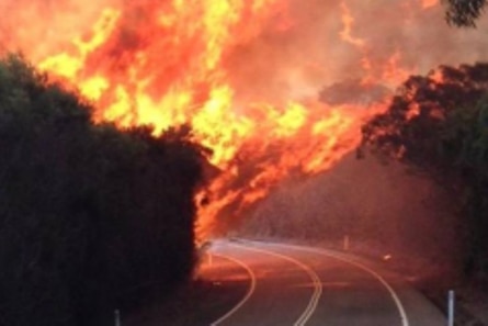 Fire rages on Lemon Tree Passage Road at Port Stephens.