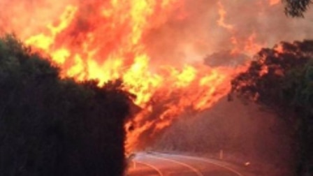 Another house destroyed in Port fires