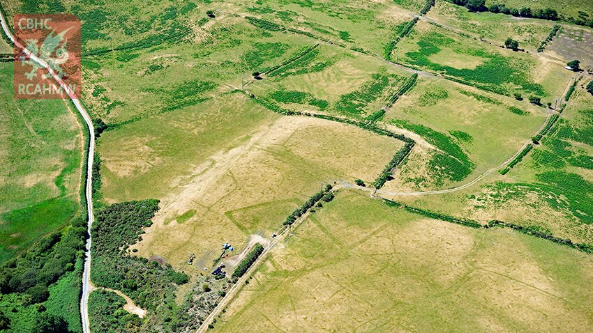 Extensive cropmarks of prehistoric enclosures in parched grassland on the Llyn Peninsula