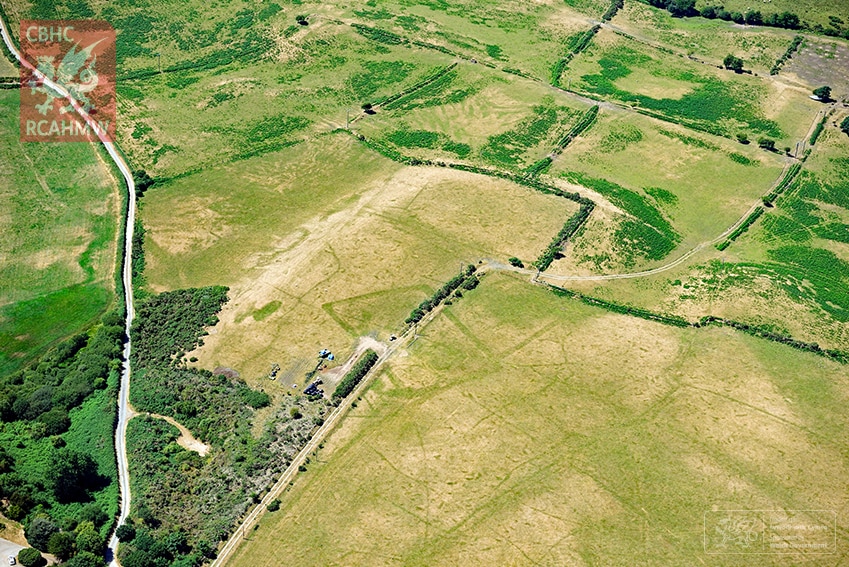 Extensive cropmarks of prehistoric enclosures in parched grassland on the Llyn Peninsula