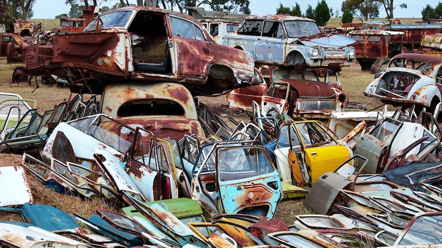 Lots of colourful vintage car wrecks in a field.