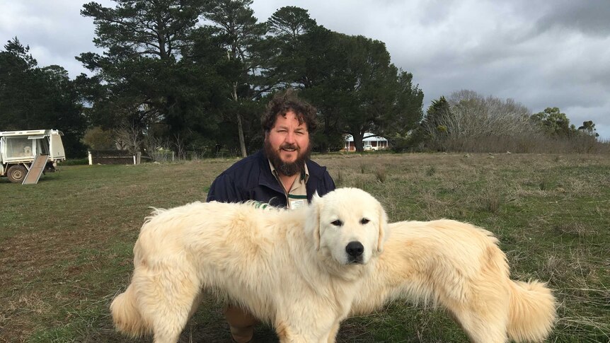 Dave Williams with two Marema dogs