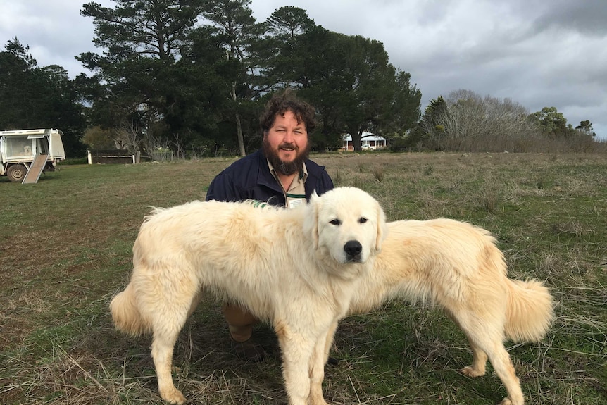 Dave Williams with two Marema dogs