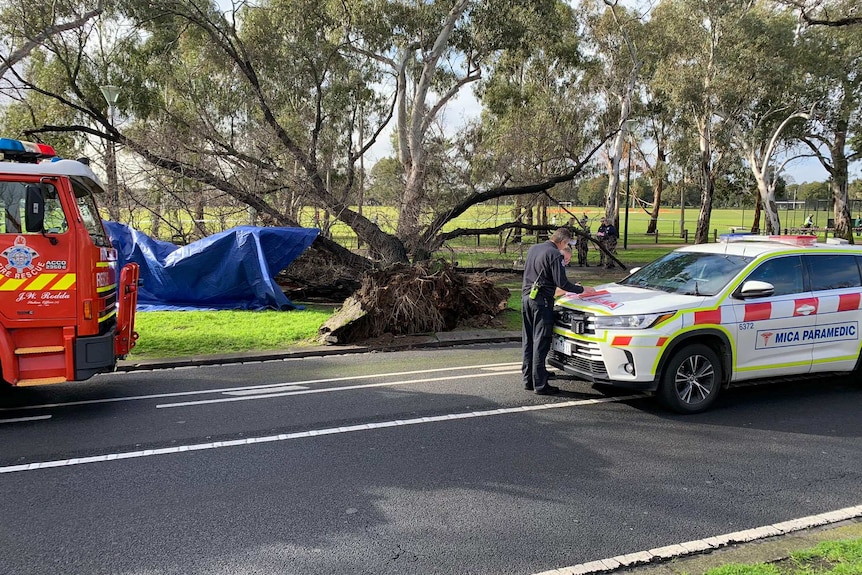 Paramedics talk to police near a fallen tree at Princes Park.