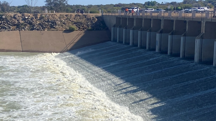 Green/brown coloured water rushing through a large cement gate