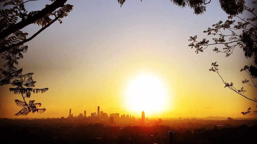 Sun sets at Mt Coot-tha with trees in silhoulette, with Brisbane city buildings in the distance.