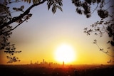 Sun sets at Mt Coot-tha with trees in silhoulette, with Brisbane city buildings in the distance.