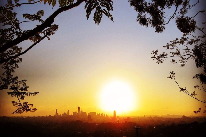 Sun sets at Mt Coot-tha with trees in silhoulette, with Brisbane city buildings in the distance.