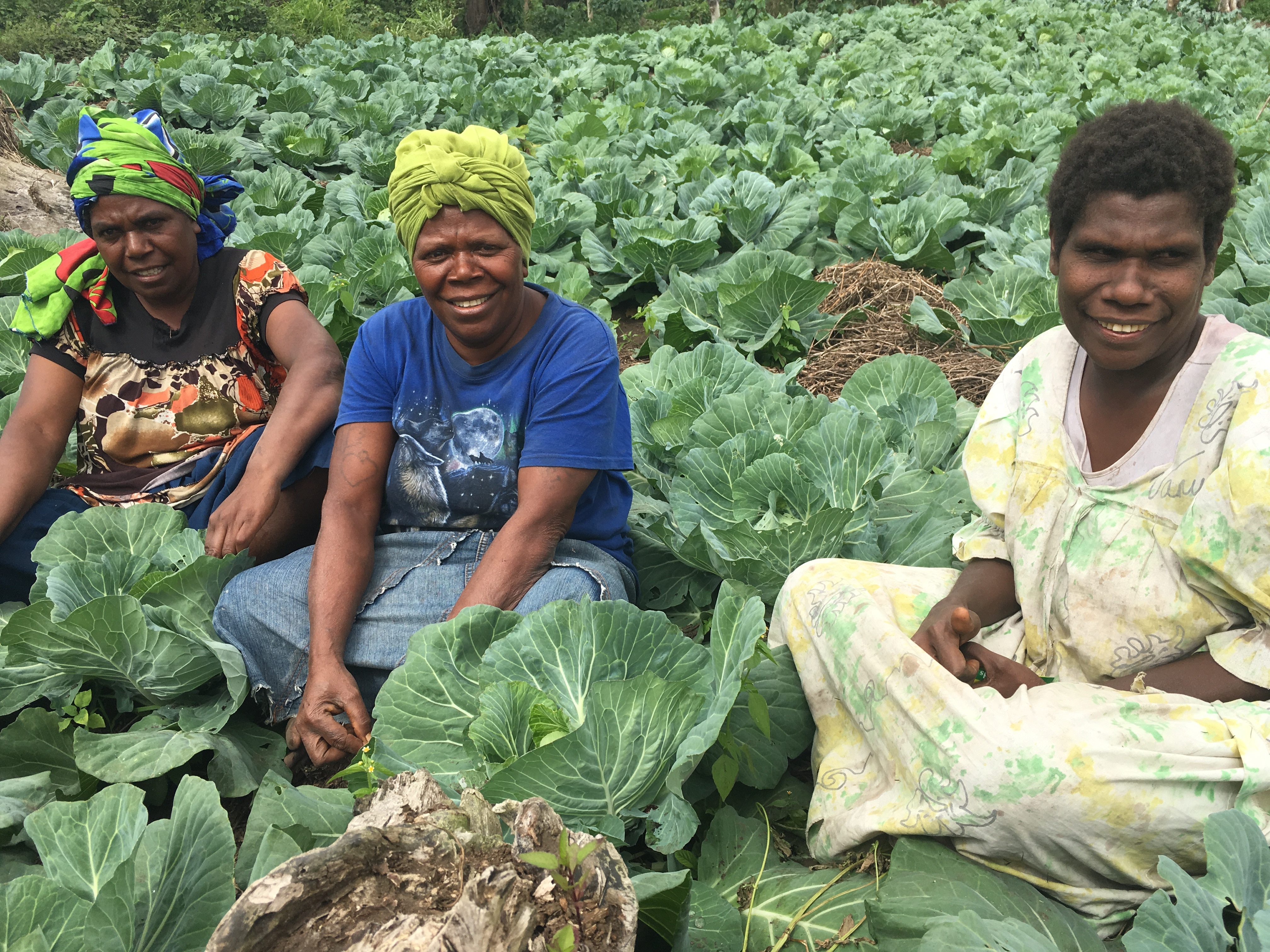 Pacific countries secure more than $US40 million in agriculture funding