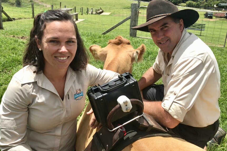 Sally and Ross Hopper crouching down with a cow that's wearing a live streaming 'cowcam' camera.